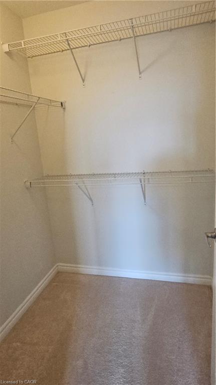 111 Glenvista Drive, Kitchener, ON - Indoor With Storage