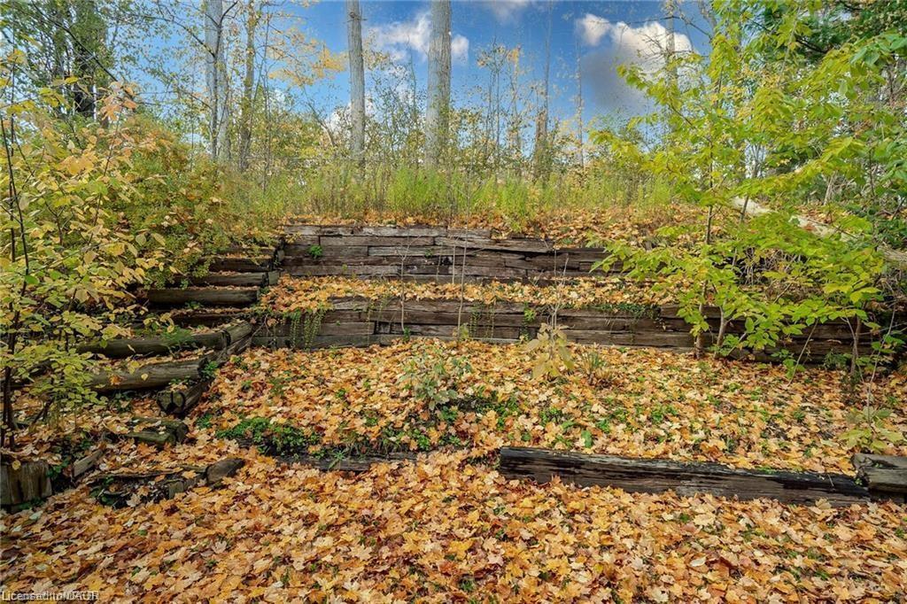 Basement-218 Ingleside Place, Kitchener, ON - Outdoor With View