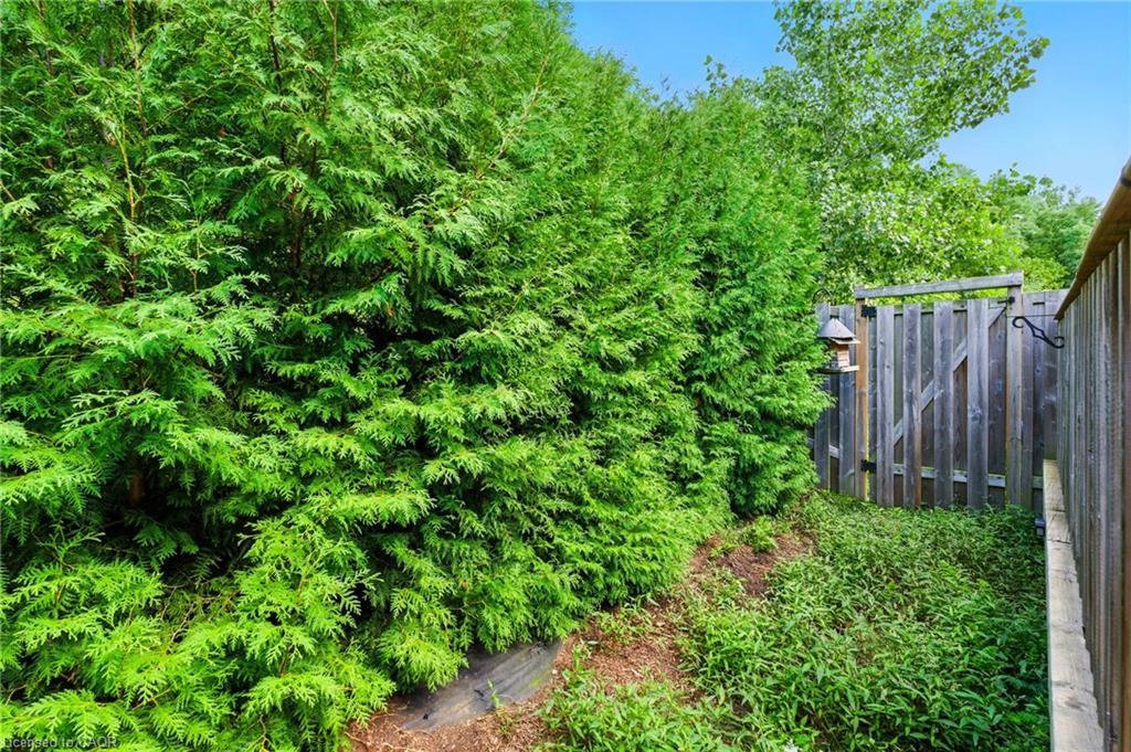 61-21 Diana Avenue, Brantford, ON - Outdoor