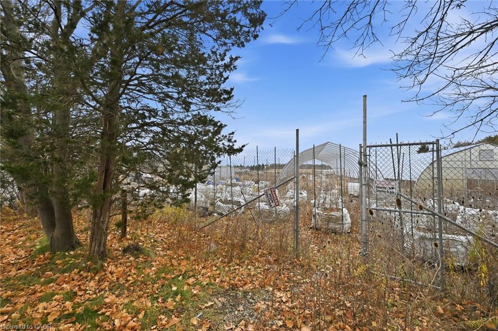 8520 Sixteen Road, Caistor Centre, ON - Outdoor With View