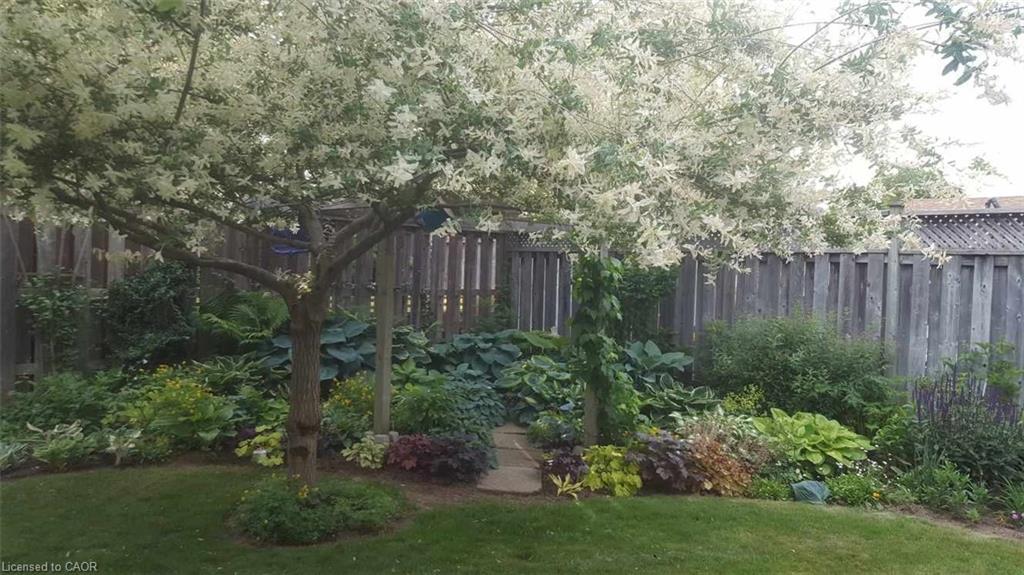 6 Burdock Boulevard, Brantford, ON - Outdoor With Backyard