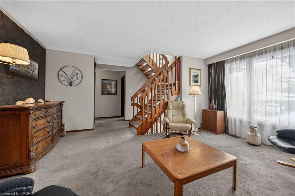 356 Cranbrook Drive, Hamilton, ON - Indoor Photo Showing Living Room