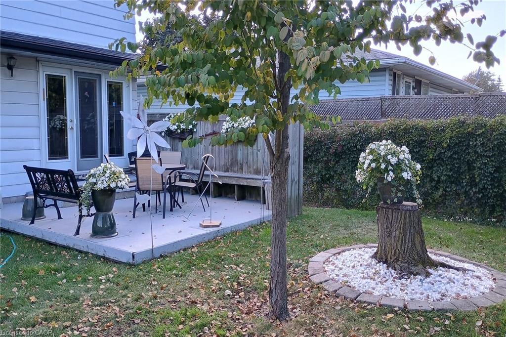 356 Cranbrook Drive, Hamilton, ON - Outdoor With Deck Patio Veranda