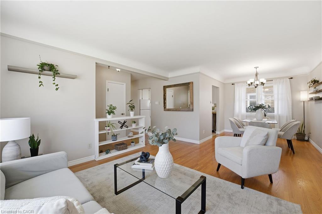 11 Kensington Avenue, Kitchener, ON - Indoor Photo Showing Living Room