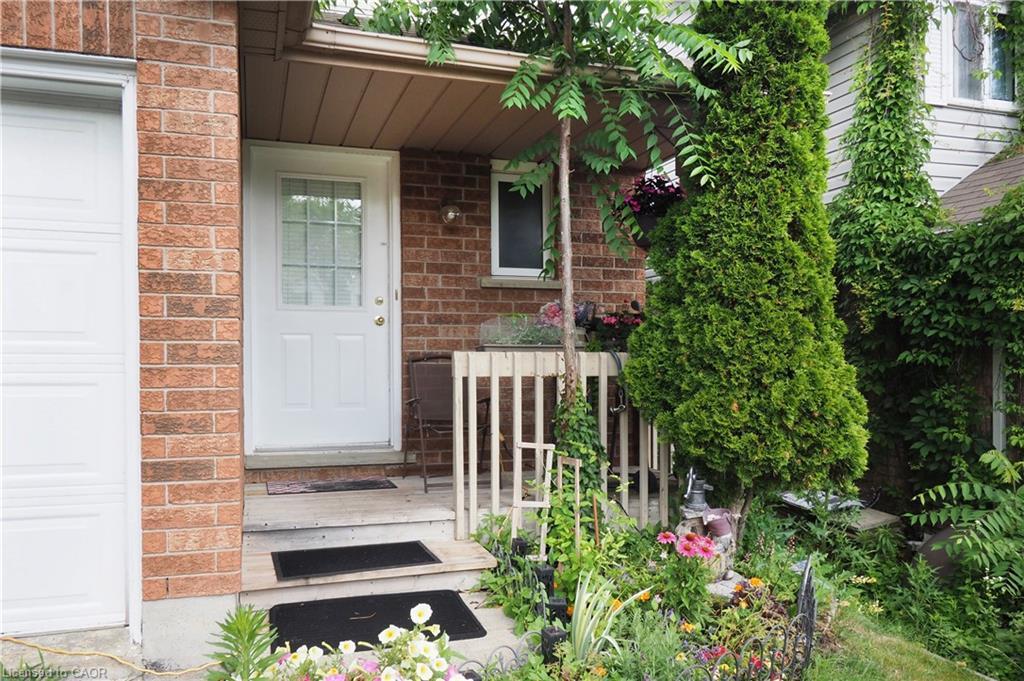 429 Exmoor Street, Waterloo, ON - Outdoor