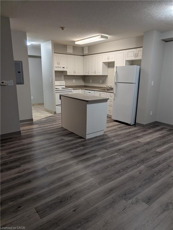 202-736 Old Albert Street, Waterloo, ON - Indoor Photo Showing Kitchen