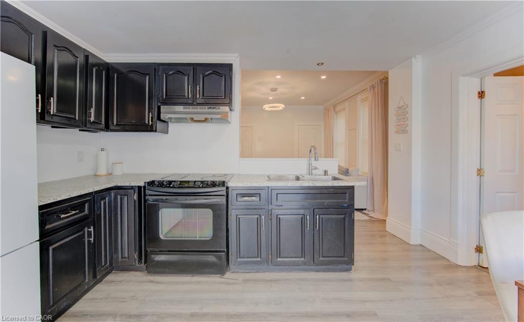 88 Wellington Street N, Kitchener, ON - Indoor Photo Showing Kitchen