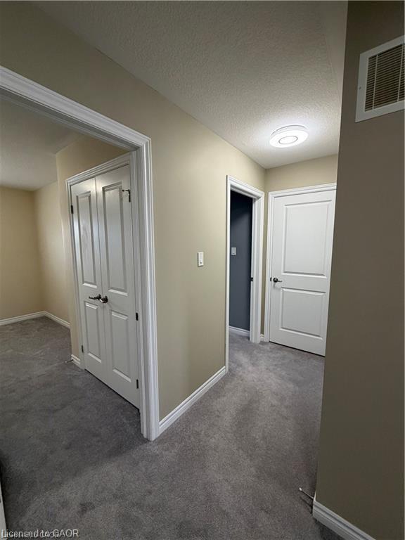 115 Bilanski Farm Road, Brantford, ON - Indoor Photo Showing Other Room