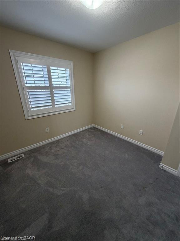 115 Bilanski Farm Road, Brantford, ON - Indoor Photo Showing Other Room