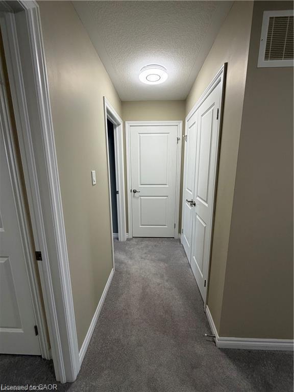 115 Bilanski Farm Road, Brantford, ON - Indoor Photo Showing Other Room