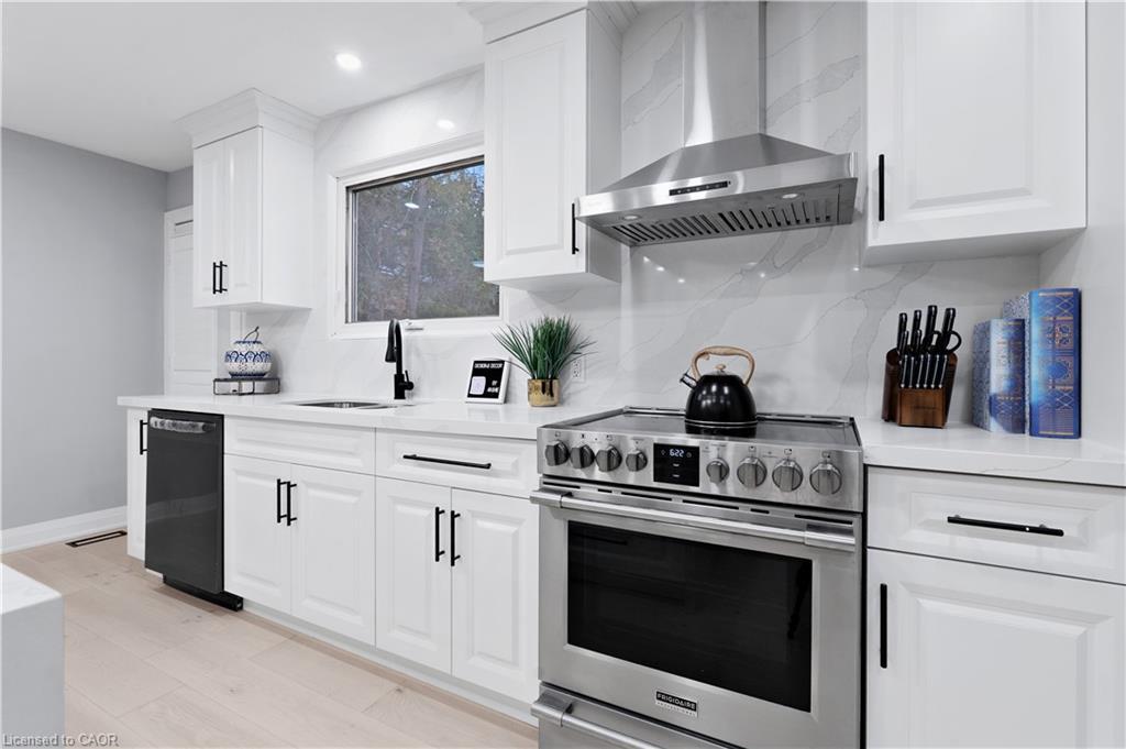 19 Broad Street, Brantford, ON - Indoor Photo Showing Kitchen With Upgraded Kitchen