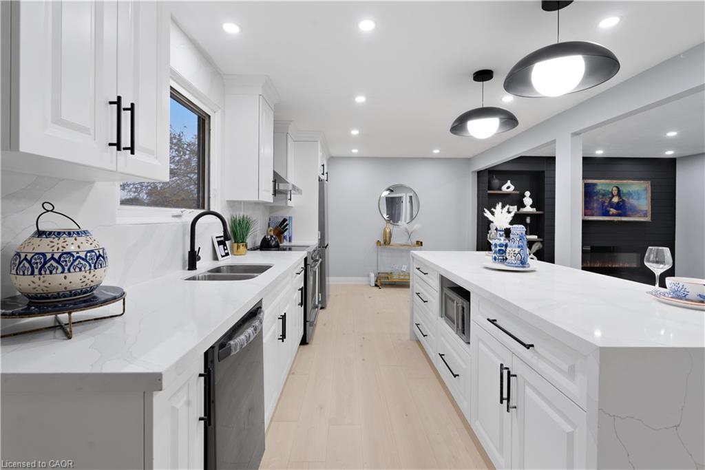 19 Broad Street, Brantford, ON - Indoor Photo Showing Kitchen With Double Sink With Upgraded Kitchen