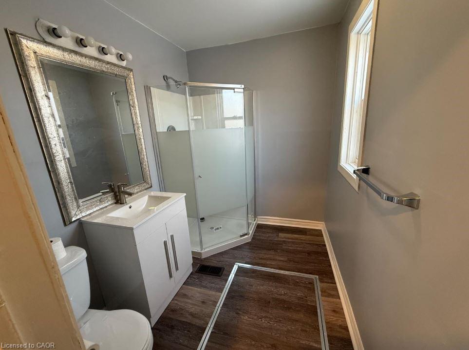35 Park Avenue, Brantford, ON - Indoor Photo Showing Bathroom
