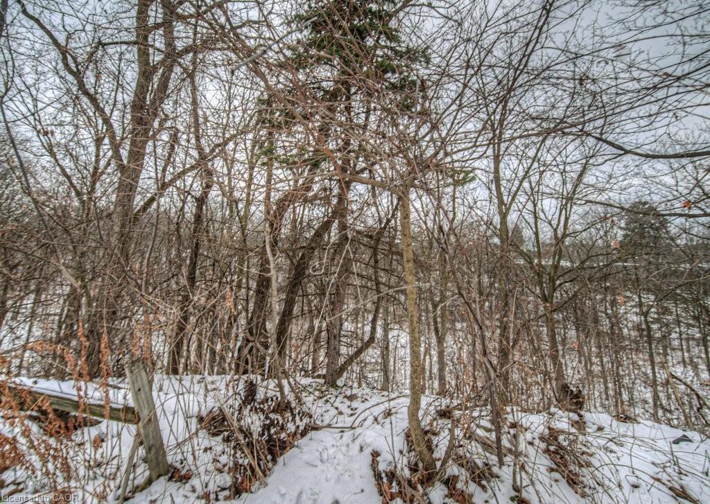 154 St Andrews Drive, Hamilton, ON - Outdoor With View