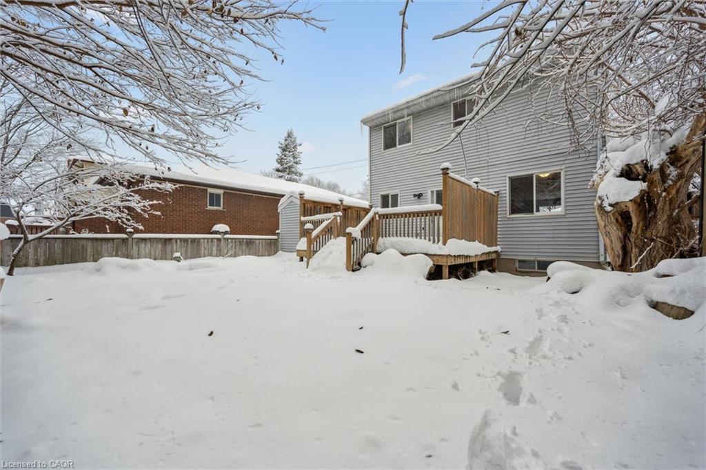 291 Patricia Avenue, Kitchener, ON - Outdoor