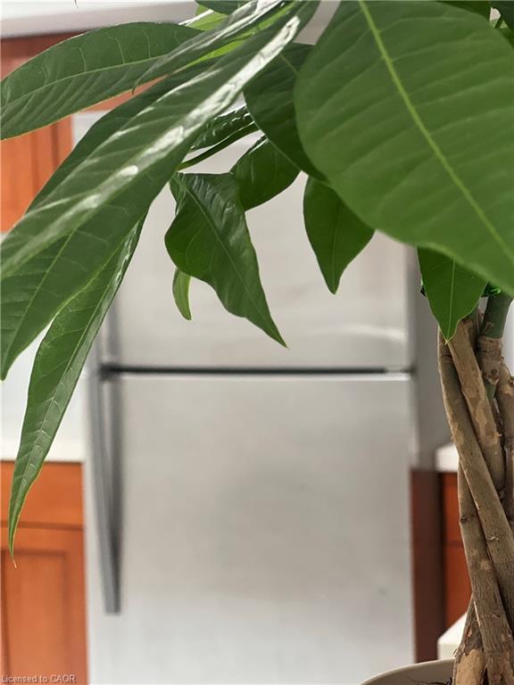 99 Brucedale Avenue E, Hamilton, ON - Photo Showing Other Room