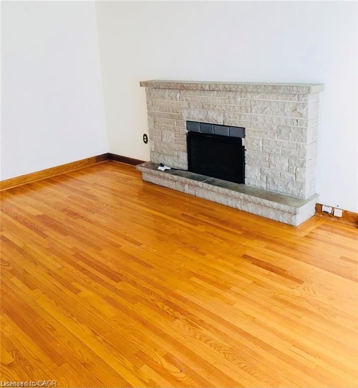 730 Garth Street, Hamilton, ON - Indoor With Fireplace