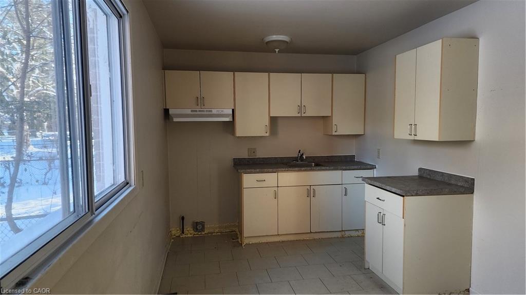 57-59 Oakwood Avenue, Simcoe, ON - Indoor Photo Showing Kitchen With Double Sink