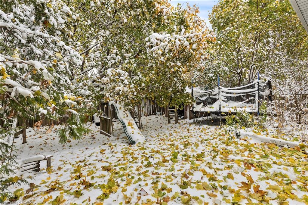 11 Torlake Street, Hamilton, ON - Outdoor