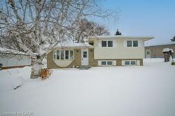 659 Gladstone Drive Woodstock, ON N4S 5S7