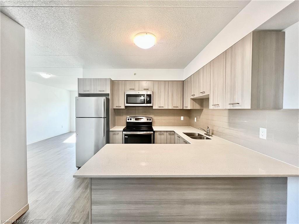 1002-220 Cannon Street E, Hamilton, ON - Indoor Photo Showing Kitchen With Stainless Steel Kitchen With Double Sink
