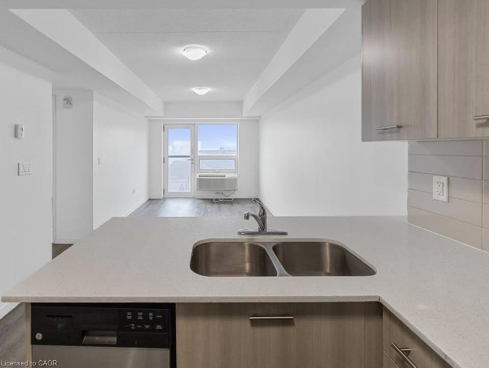 910-220 Cannon Street E, Hamilton, ON - Indoor Photo Showing Kitchen With Double Sink