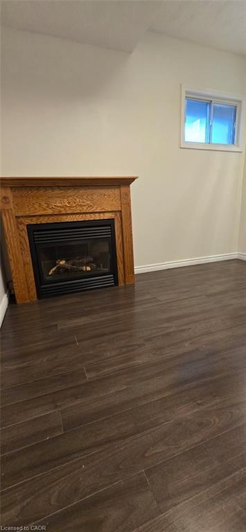 183 Ottawa Street S, Kitchener, ON - Indoor With Fireplace