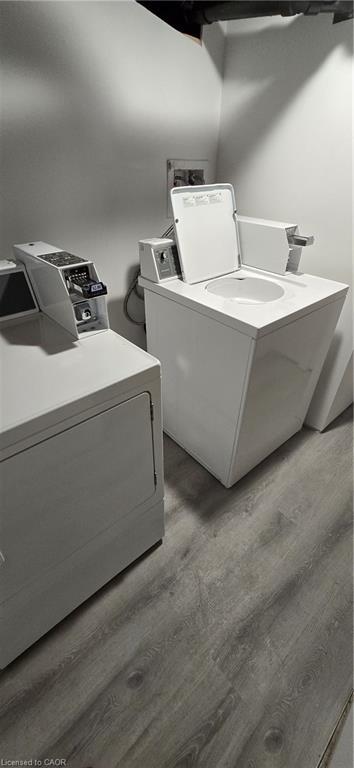 183 Ottawa Street S, Kitchener, ON - Indoor Photo Showing Laundry Room