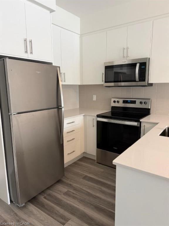 309-1100 Lackner Place, Kitchener, ON - Indoor Photo Showing Kitchen With Stainless Steel Kitchen