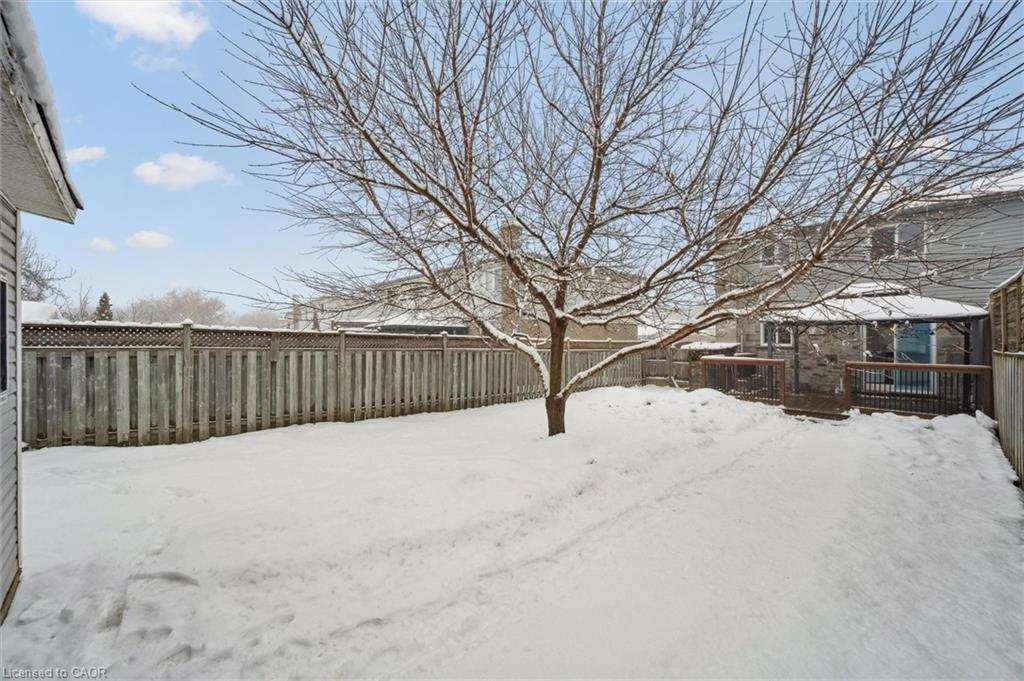 23 Tamvale Crescent, Kitchener, ON - Outdoor