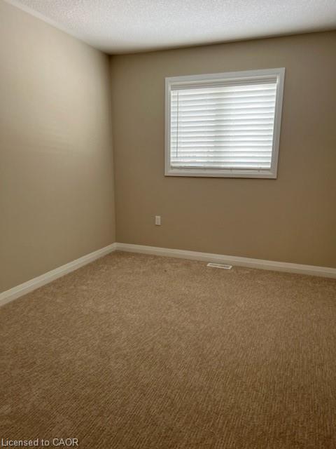 116 Laguna Village Crescent, Hamilton, ON - Indoor Photo Showing Other Room