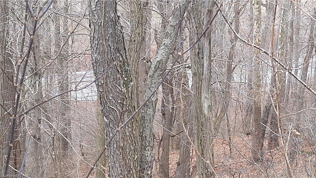 0 Plank Road, Vienna, ON