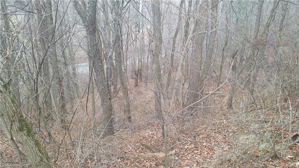 0 Plank Road, Vienna, ON