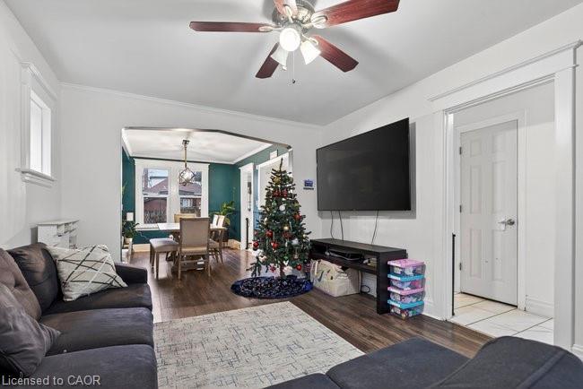 149 Leinster Avenue N, Hamilton, ON - Indoor Photo Showing Living Room