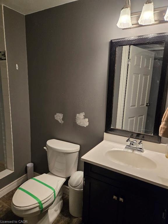 39 Evelyn Street, Brantford, ON - Indoor Photo Showing Bathroom