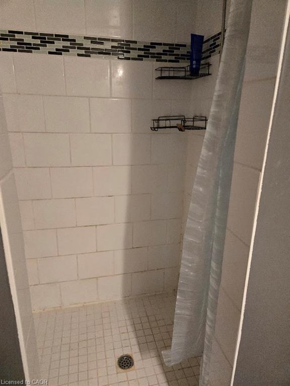 39 Evelyn Street, Brantford, ON - Indoor Photo Showing Bathroom