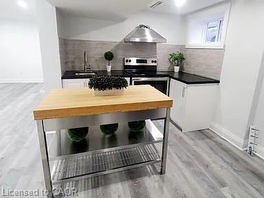 549 Waterloo Street, Hamilton, ON - Indoor Photo Showing Kitchen