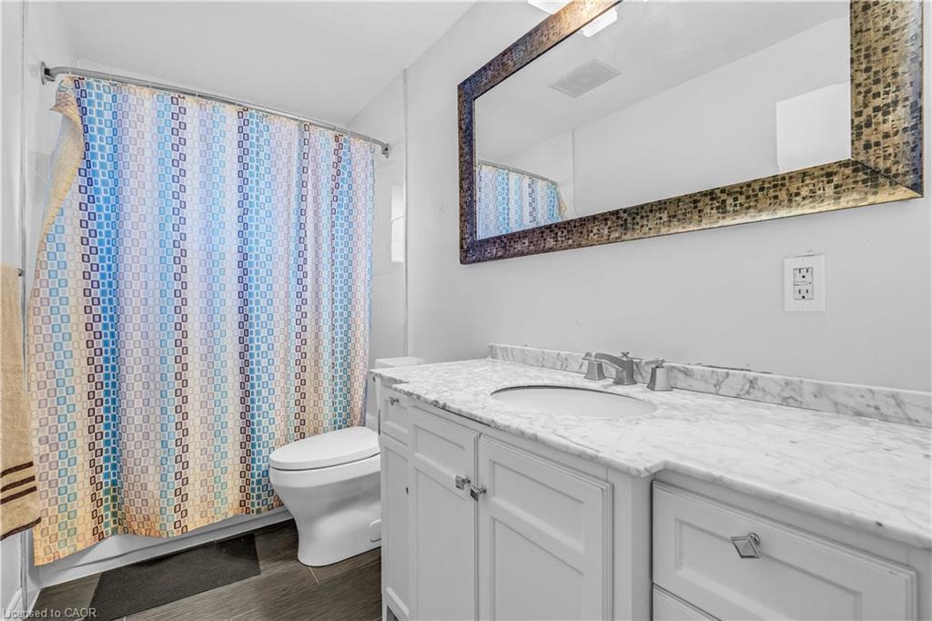 41 Alma Street N, Guelph, ON - Indoor Photo Showing Bathroom