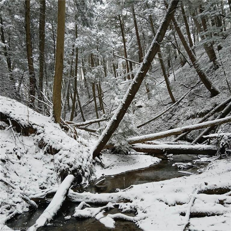 535 Mcdowell Road E, Simcoe, ON - Outdoor With View