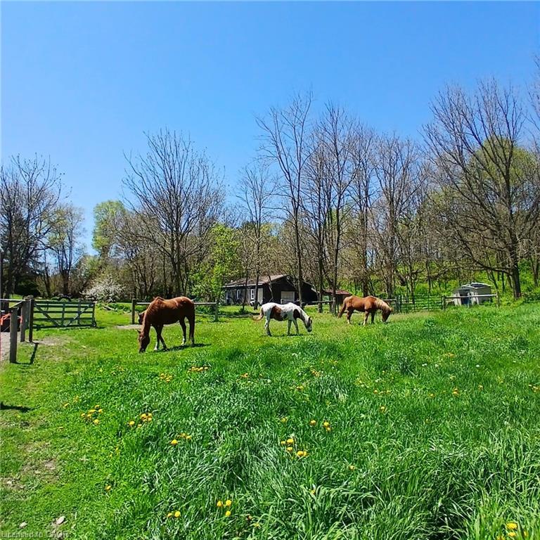 535 Mcdowell Road E, Simcoe, ON - Outdoor