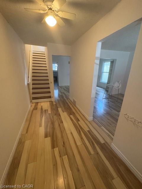 89 Shaw Street, Hamilton, ON - Indoor Photo Showing Other Room
