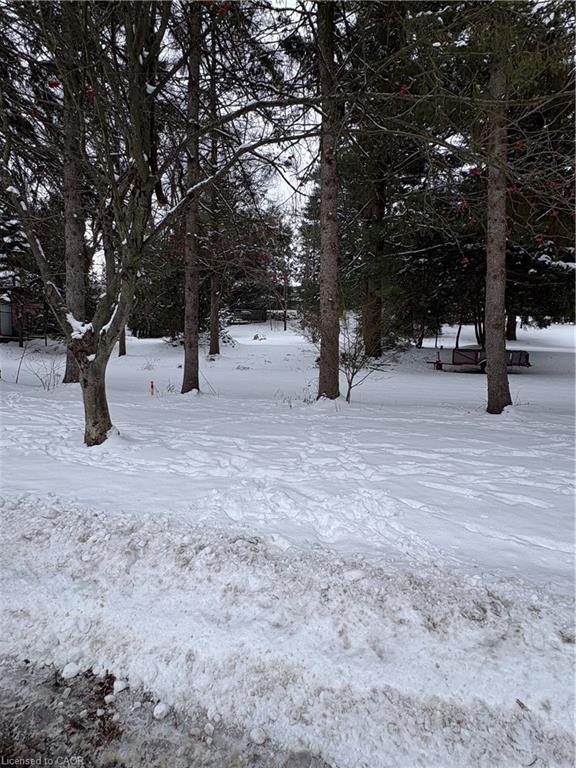 152 Mccall Crescent, Simcoe, ON