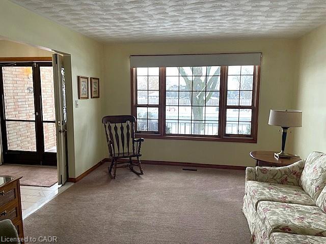 18 Kingfisher Drive, Hamilton, ON - Indoor