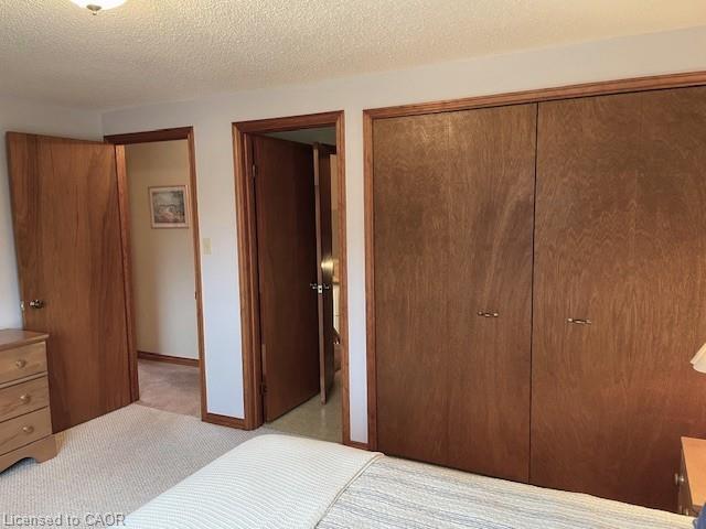 18 Kingfisher Drive, Hamilton, ON - Indoor Photo Showing Bedroom