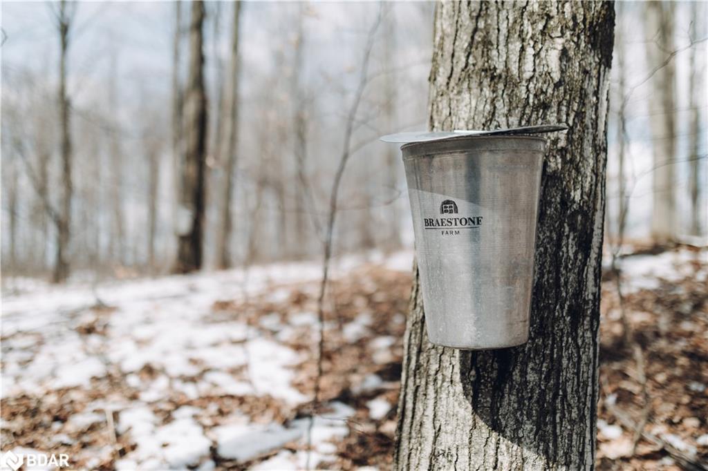 Lt 222 Friesian Court, Oro-Medonte, ON - Outdoor