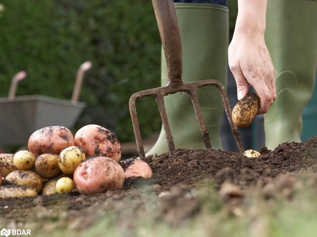 Lt 38 Friesian Court, Oro-Medonte, ON -