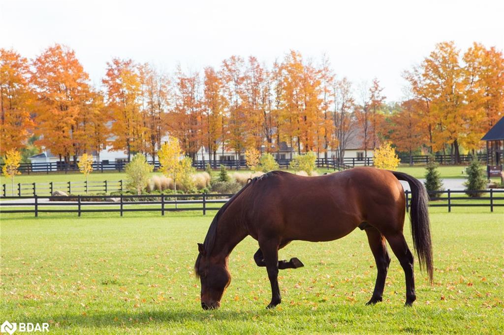 Lt 38 Friesian Court, Oro-Medonte, ON - Outdoor With View