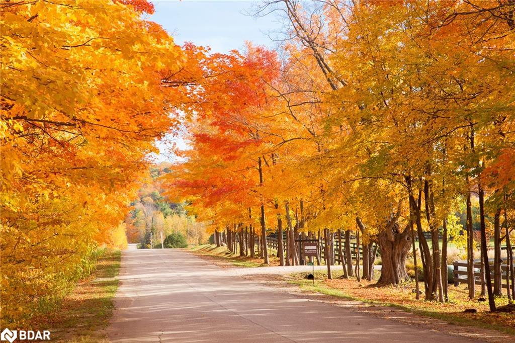 Lt 38 Friesian Court, Oro-Medonte, ON - Outdoor With View