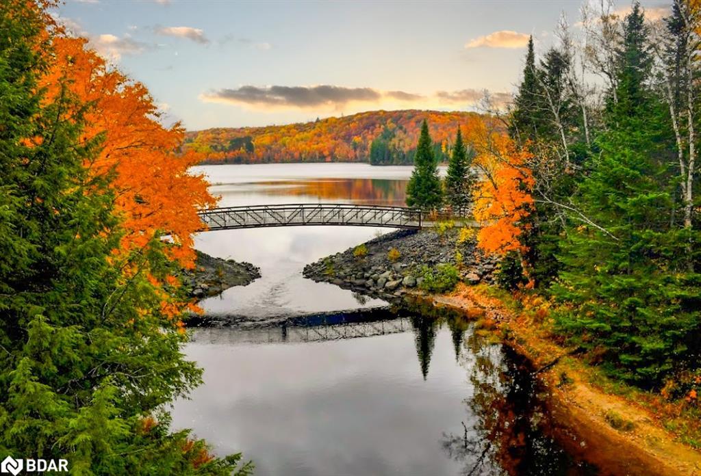 107-18 Campus Trail, Huntsville, ON - Outdoor With View