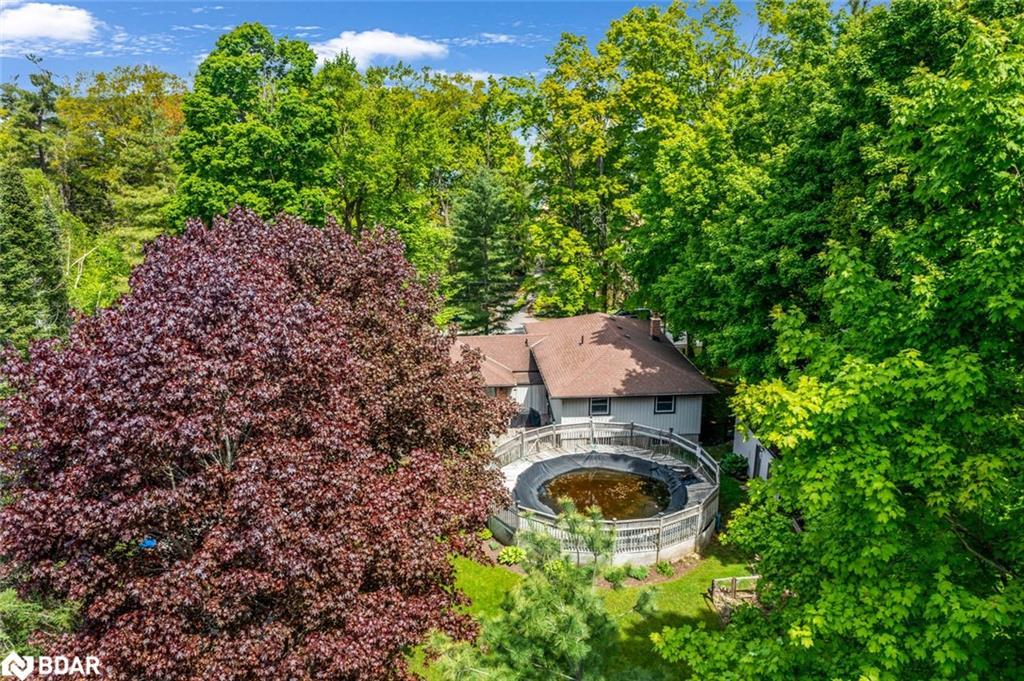 3923 Guest Road, Innisfil, ON - Outdoor